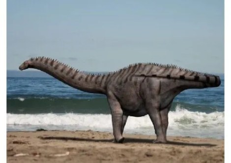 Un paseo entre Dinosaurios: Periodo Jurásico