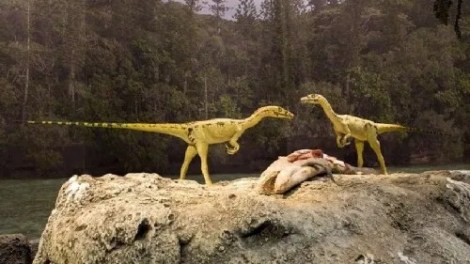 Un paseo entre Dinosaurios: Periodo Jurásico