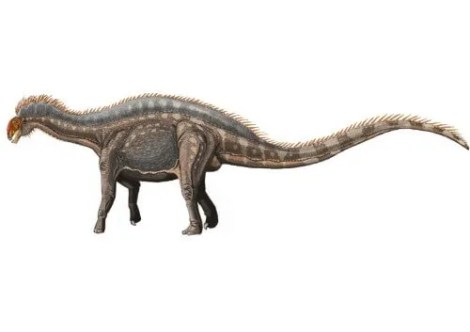 Un paseo entre Dinosaurios: Periodo Jurásico