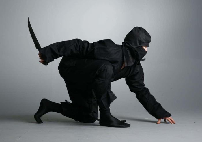 Ninja sekiren apk download