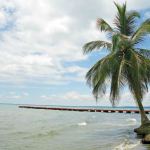 Punta de Palma  Puerto Barrios, Izabal  Guatemala