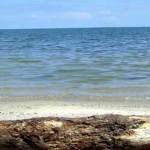 Guatemala Bella -Un paraíso tropical en Playa Blanca, Izabal Guatemala