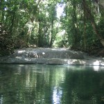 Biotopo Protegido Chocón Machacas, Izabal Guatemala-1