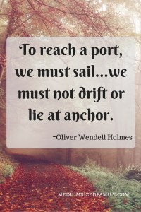 To reach a port, we must sail...we must not drift or lie at anchor.