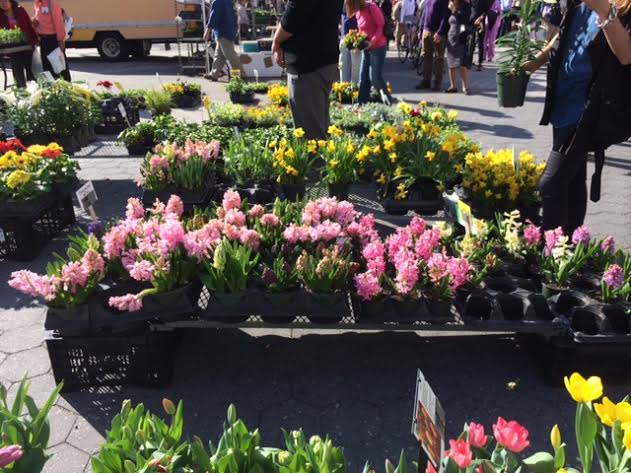 Union Square Flowers