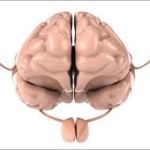 Two pathways to weak reading comprehension