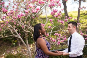 Dancing under the tulip trees