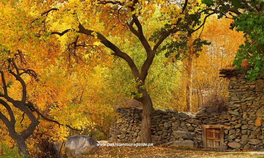 Autumn in Hunza valley