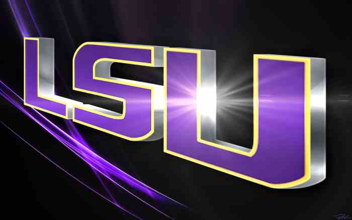 Lsu windows download activation key