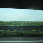 Flat land on the Italian side