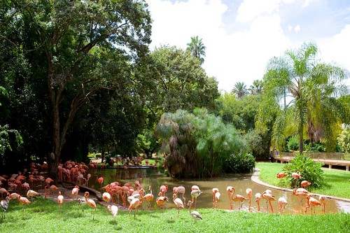 10 Kebun Binatang Paling Menarik di Dunia