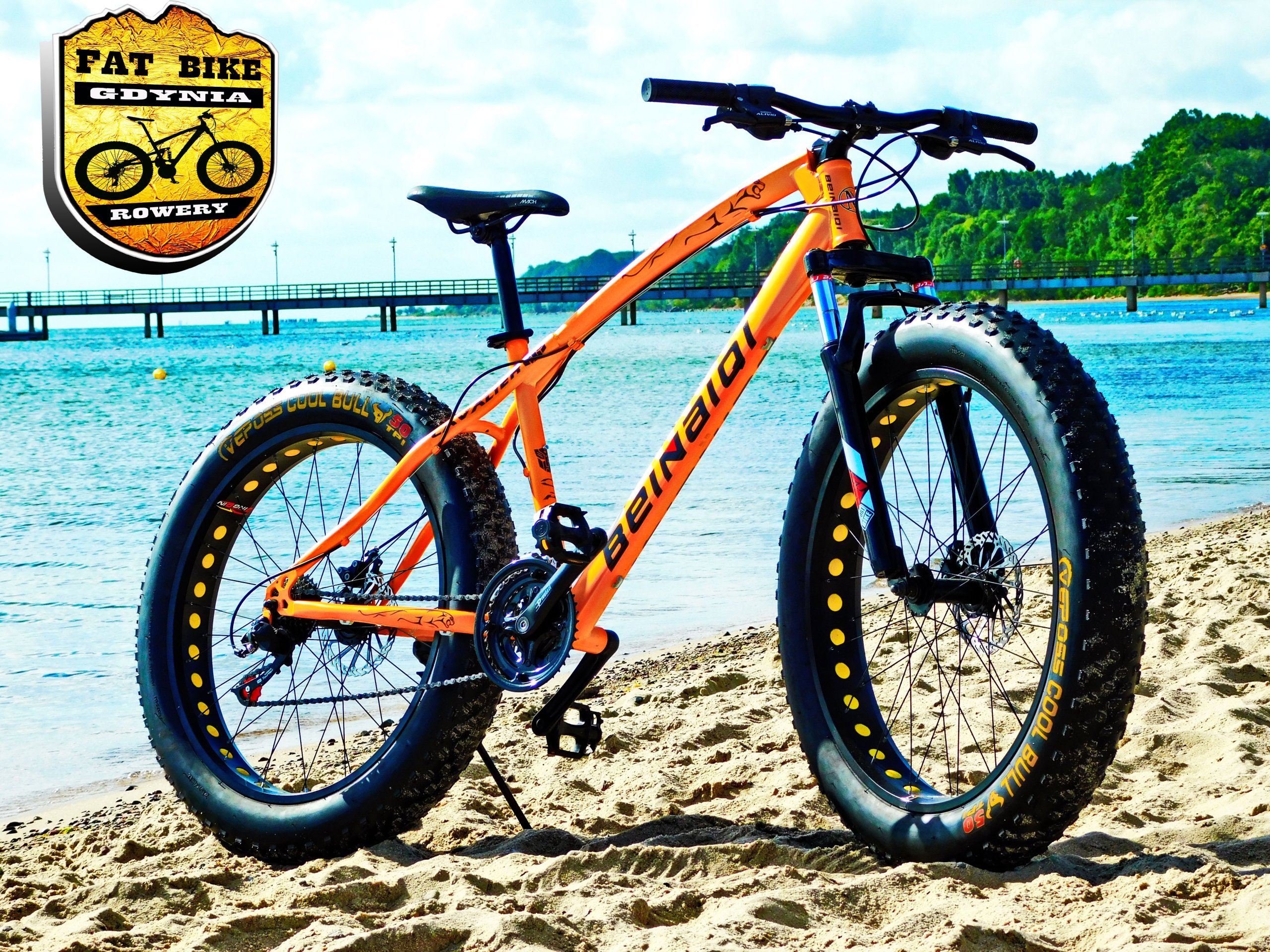 Fat Bike Gdynia CAVALIER ROWER ELEKTRYCZNY 6946331062 oficjalne