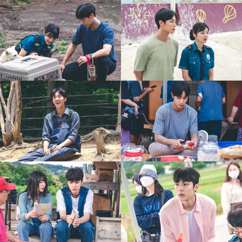 [Current Drama 2022] Once Upon A Small Town, 어쩌다가 전원 일기 Joy, Choo