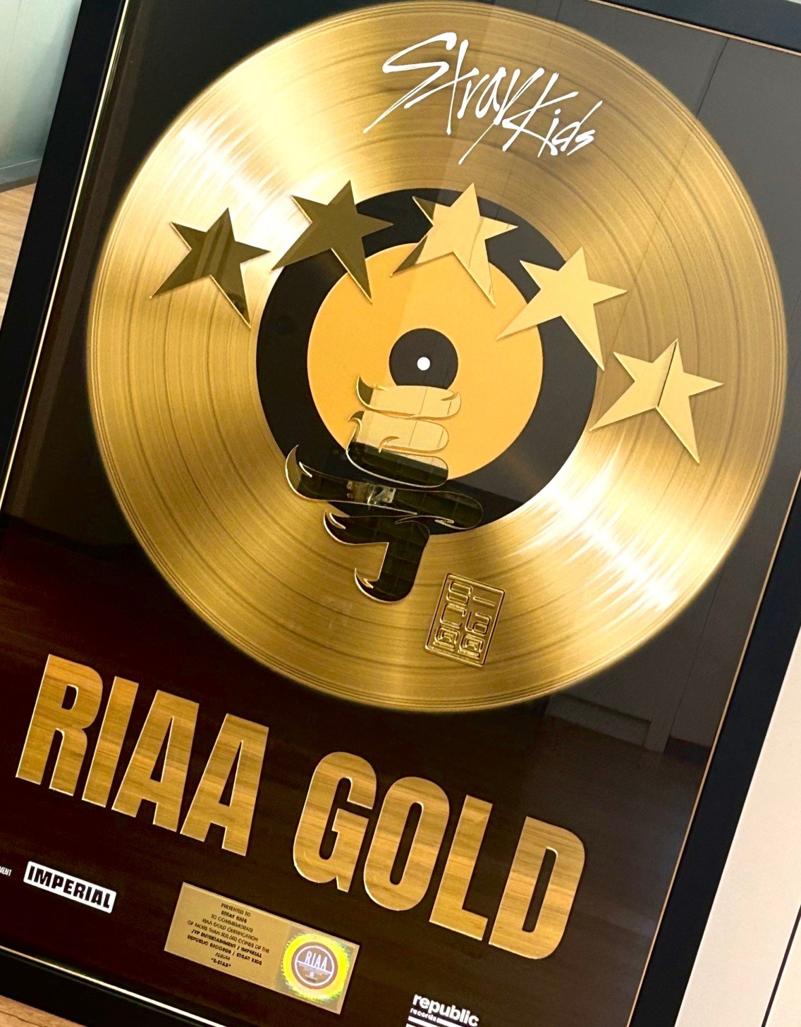 Stray Kids 2nd KPop Artist Ever To Earn Gold RIAA
