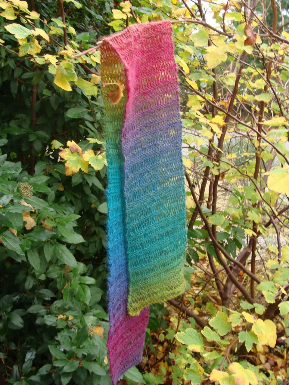 Scarves Hanging in Trees Rocks, Waves, Beach