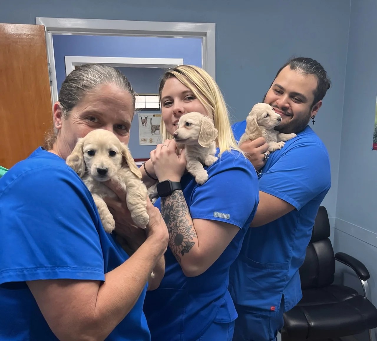 Our Photos Silver Springs Shores Animal Hospital