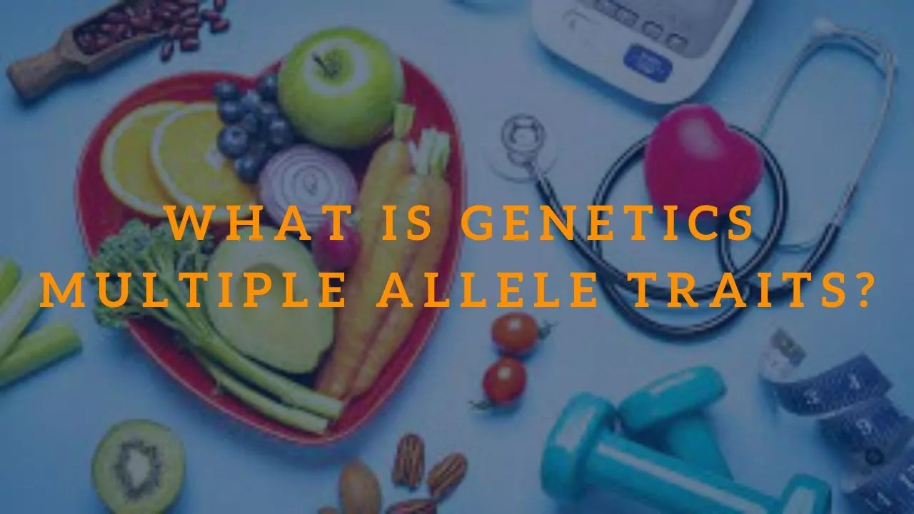 What Is Genetics Multiple Allele Traits? | Health & Wellness