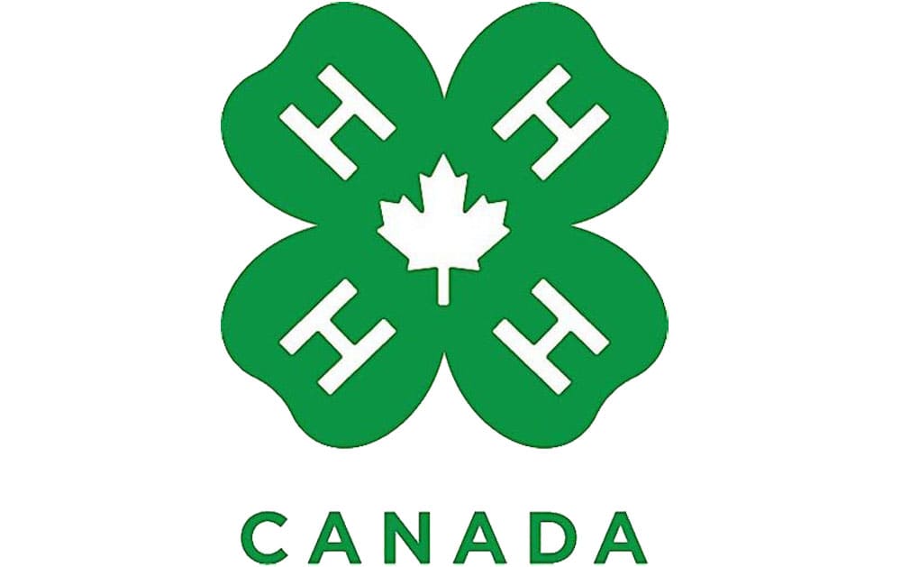 4H Logo and symbol, meaning, history, PNG, brand