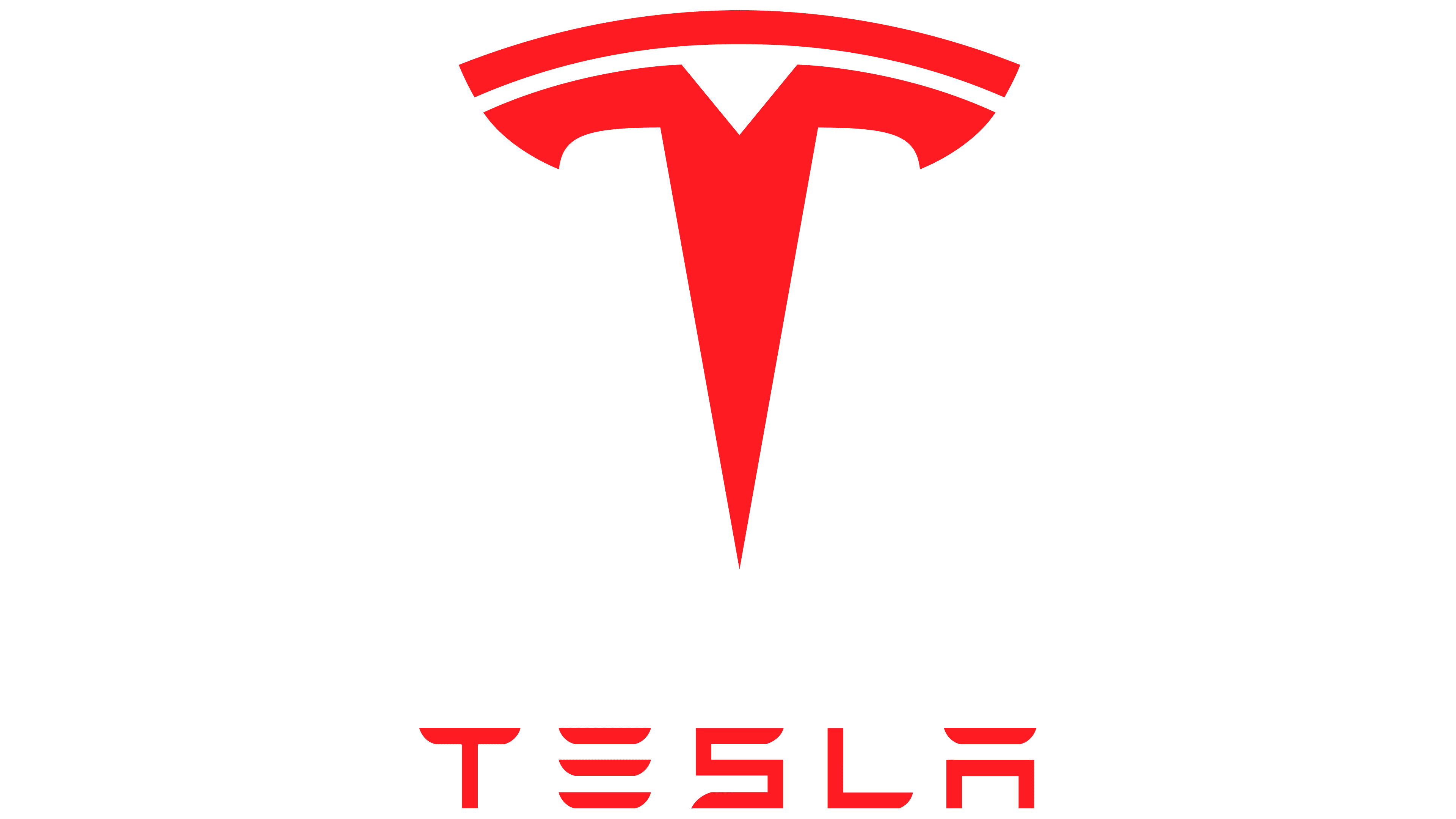 Tesla Logo Cat Nose atelieryuwa.ciao.jp
