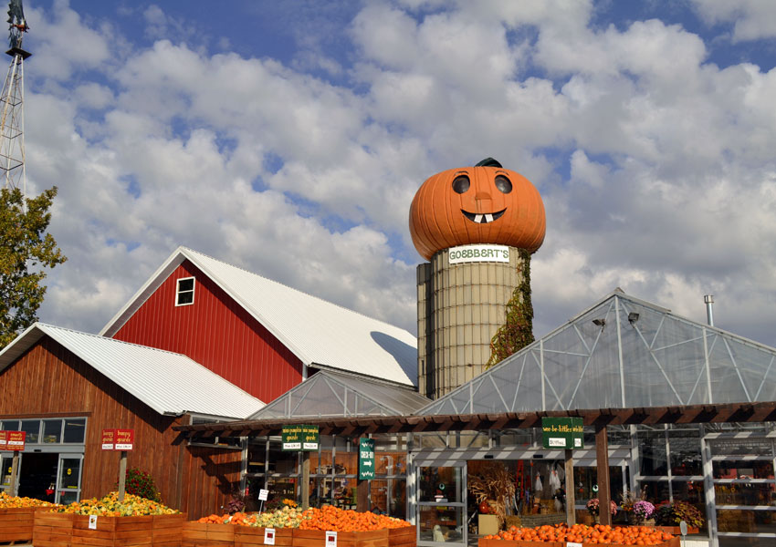 Top Pumpkin Patches in The Midwest