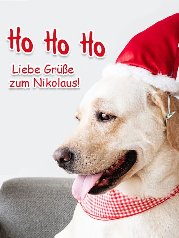 NIKOLAUS (+ 49 Bilder) Schöne Sprüche Lustig 2019