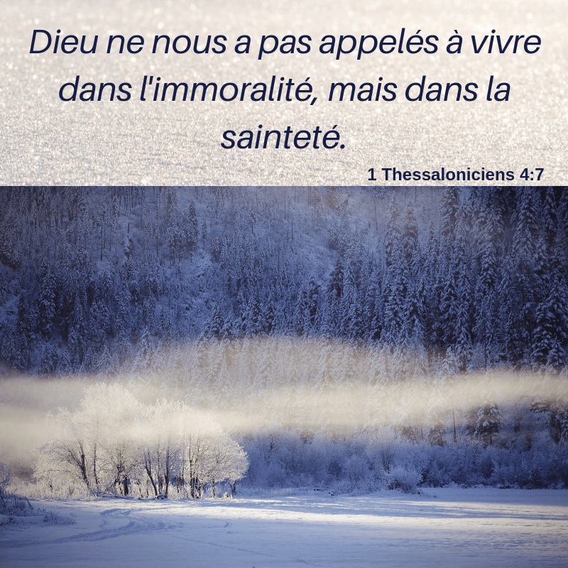 Vivre dans la sainteté 1001 versets