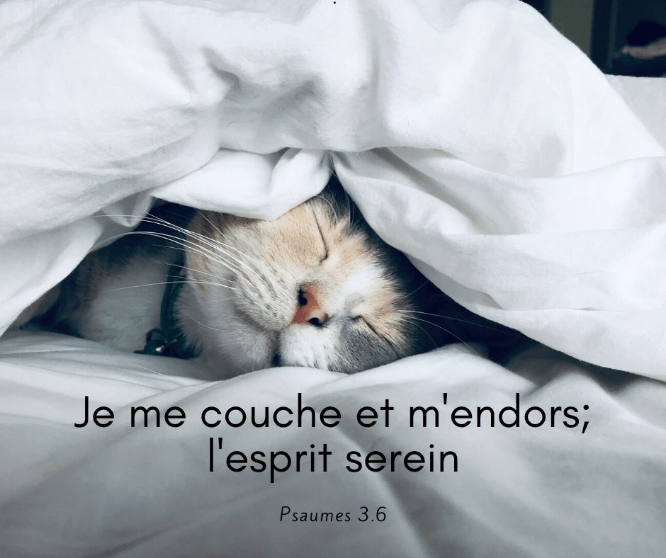 Je me couche et je m’endors 1001 versets