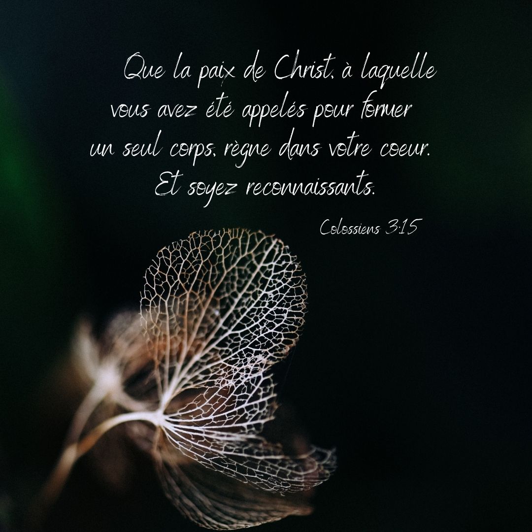 1001 versets Une collection de versets bibliques illustrés à partager