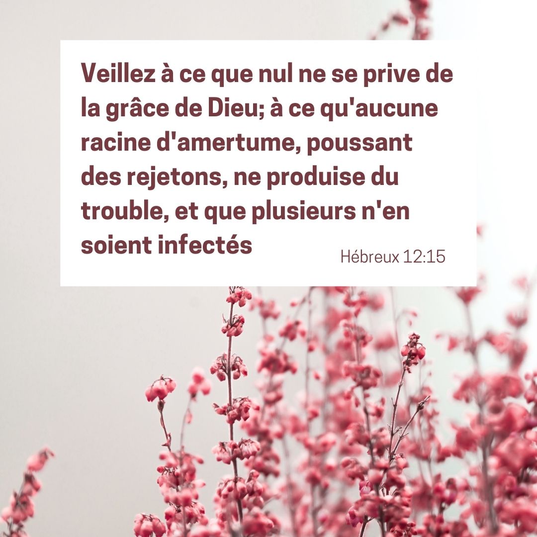 Veillez avec la grâce de Dieu ! 1001 versets