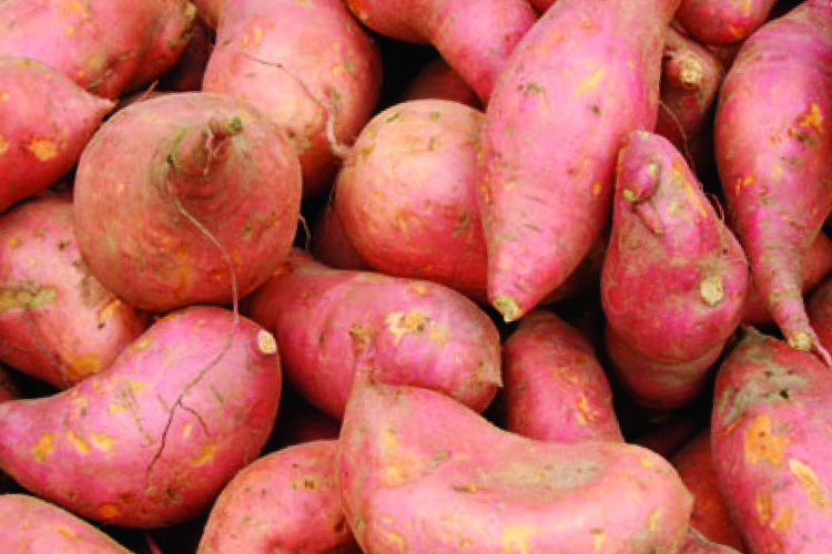Sweet Potato In Pregnancy Cartuces