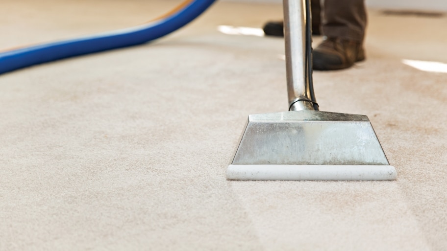 Top 5 Carpet Cleaning Services in KL and Selangor (2024)