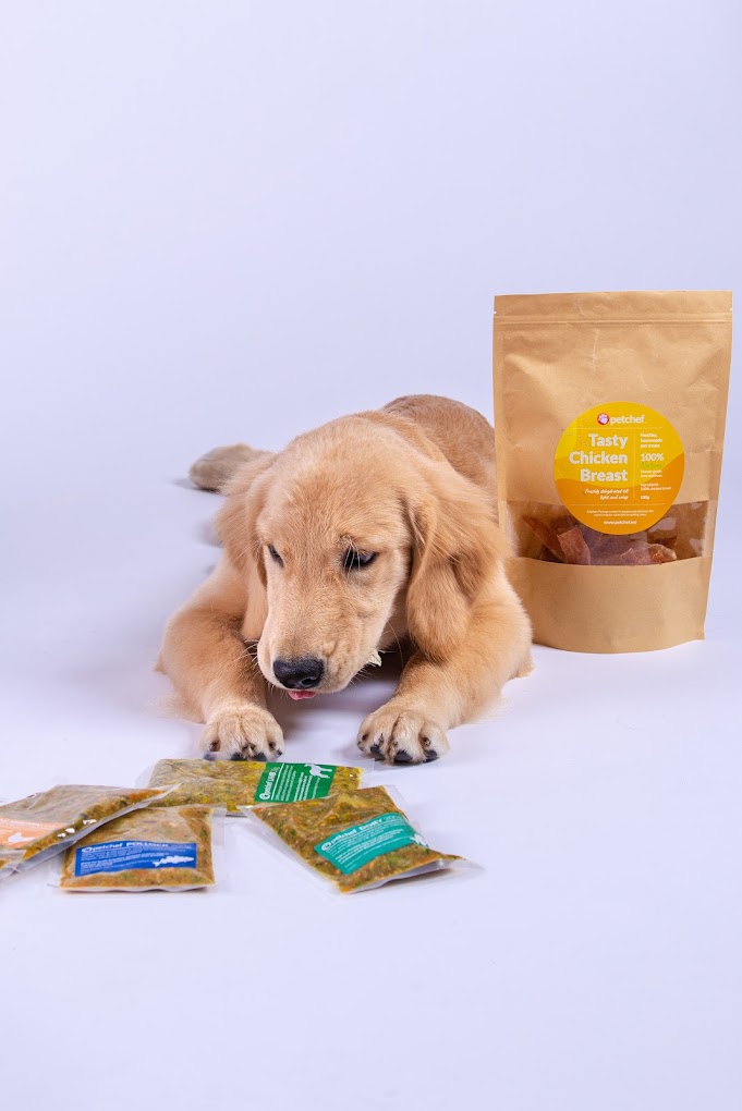 10 Best Healthy or Raw Dog Food & Treats Brands in Malaysia