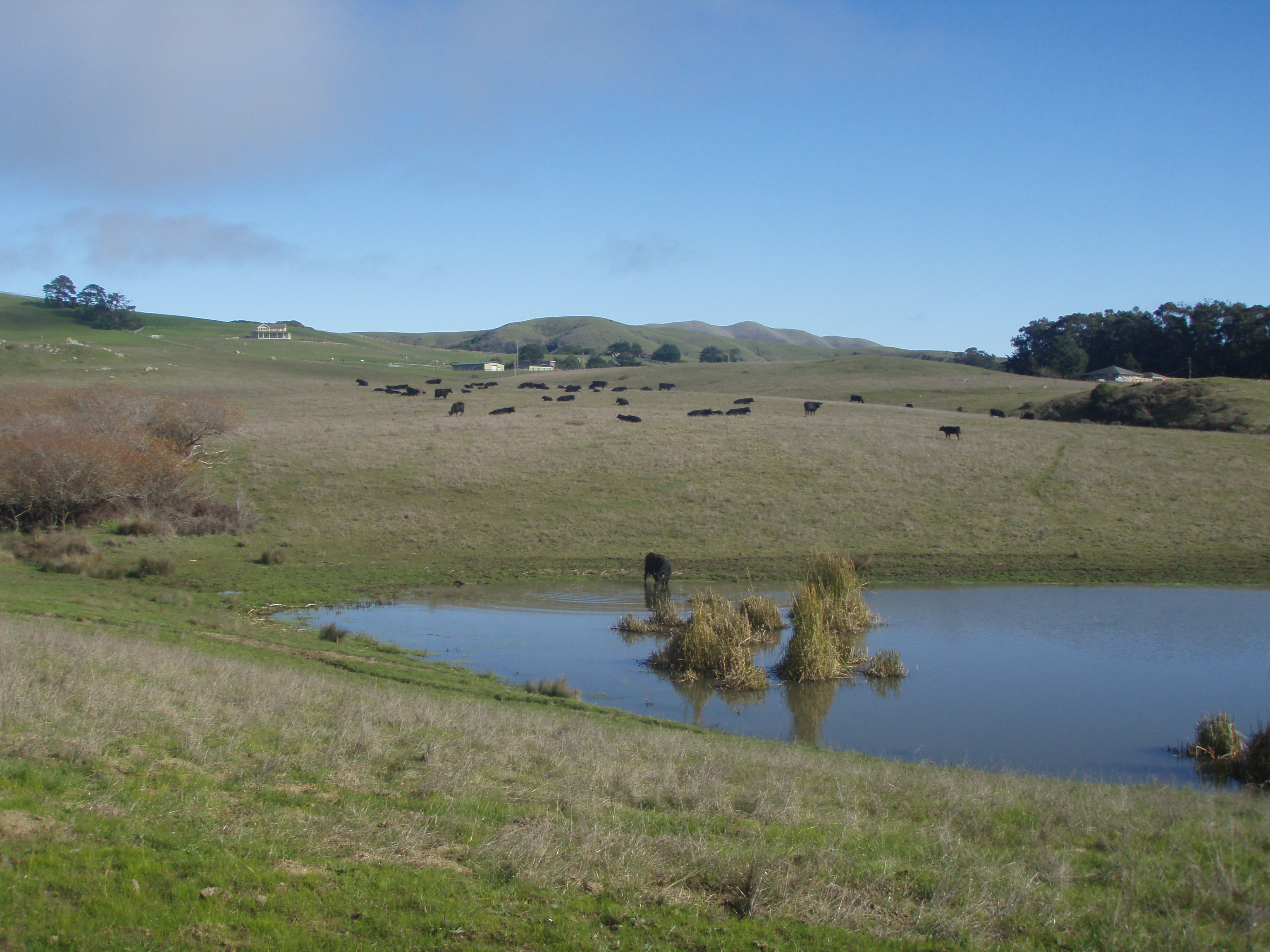 Hike 7Tomales Bay 100 Hikes