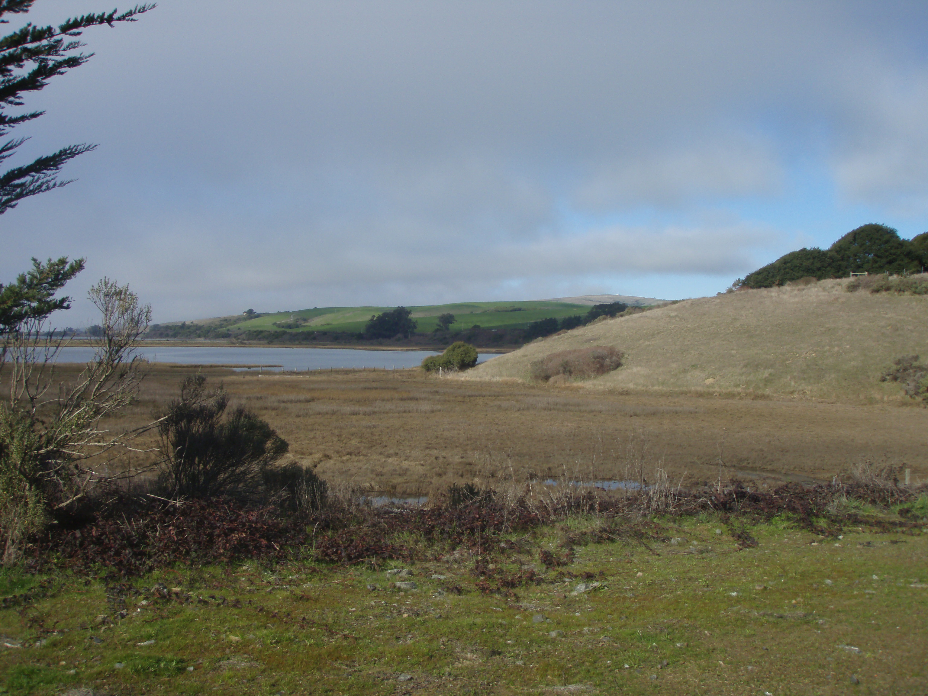 Hike 7Tomales Bay 100 Hikes