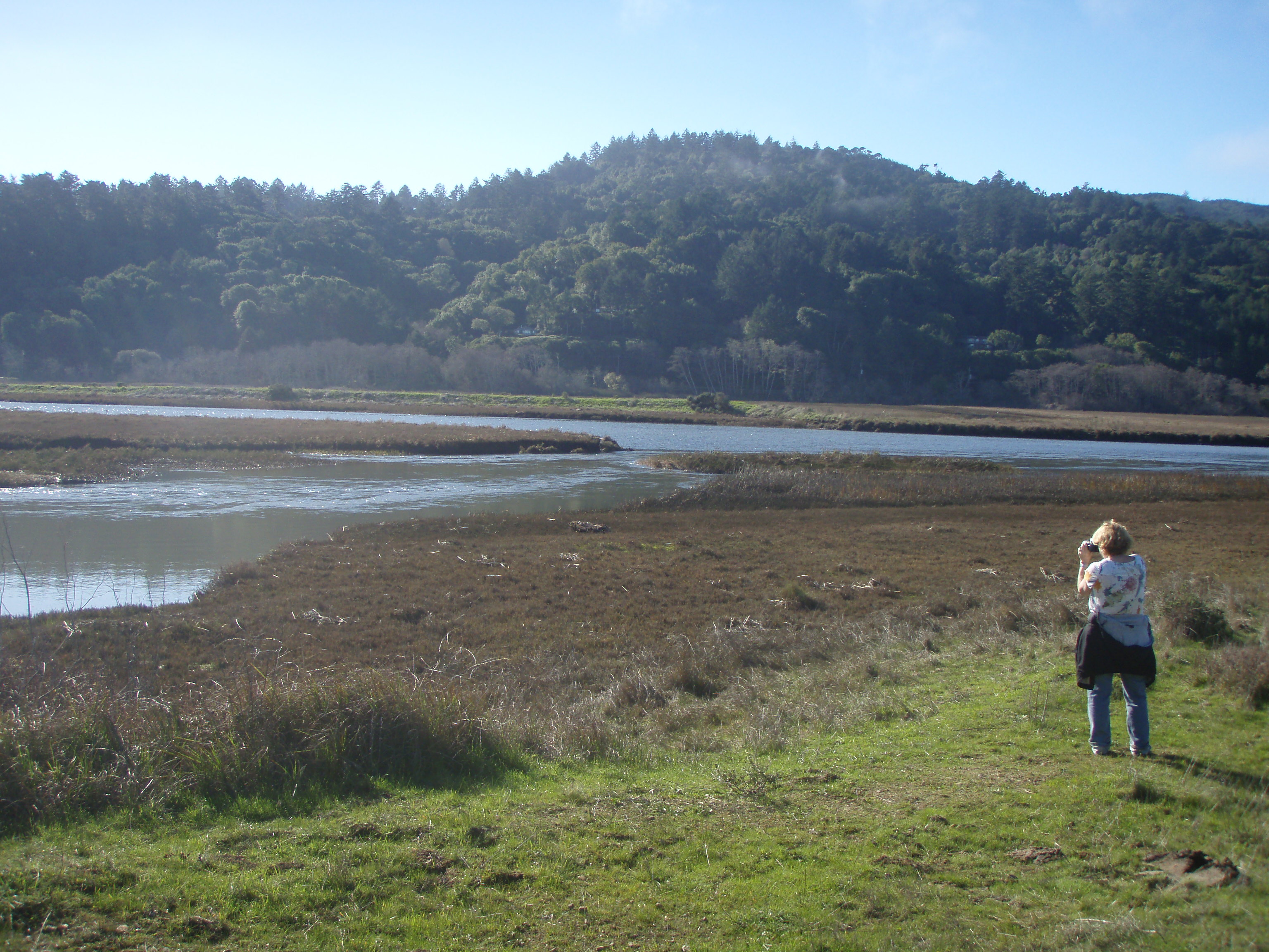 Hike 7Tomales Bay 100 Hikes