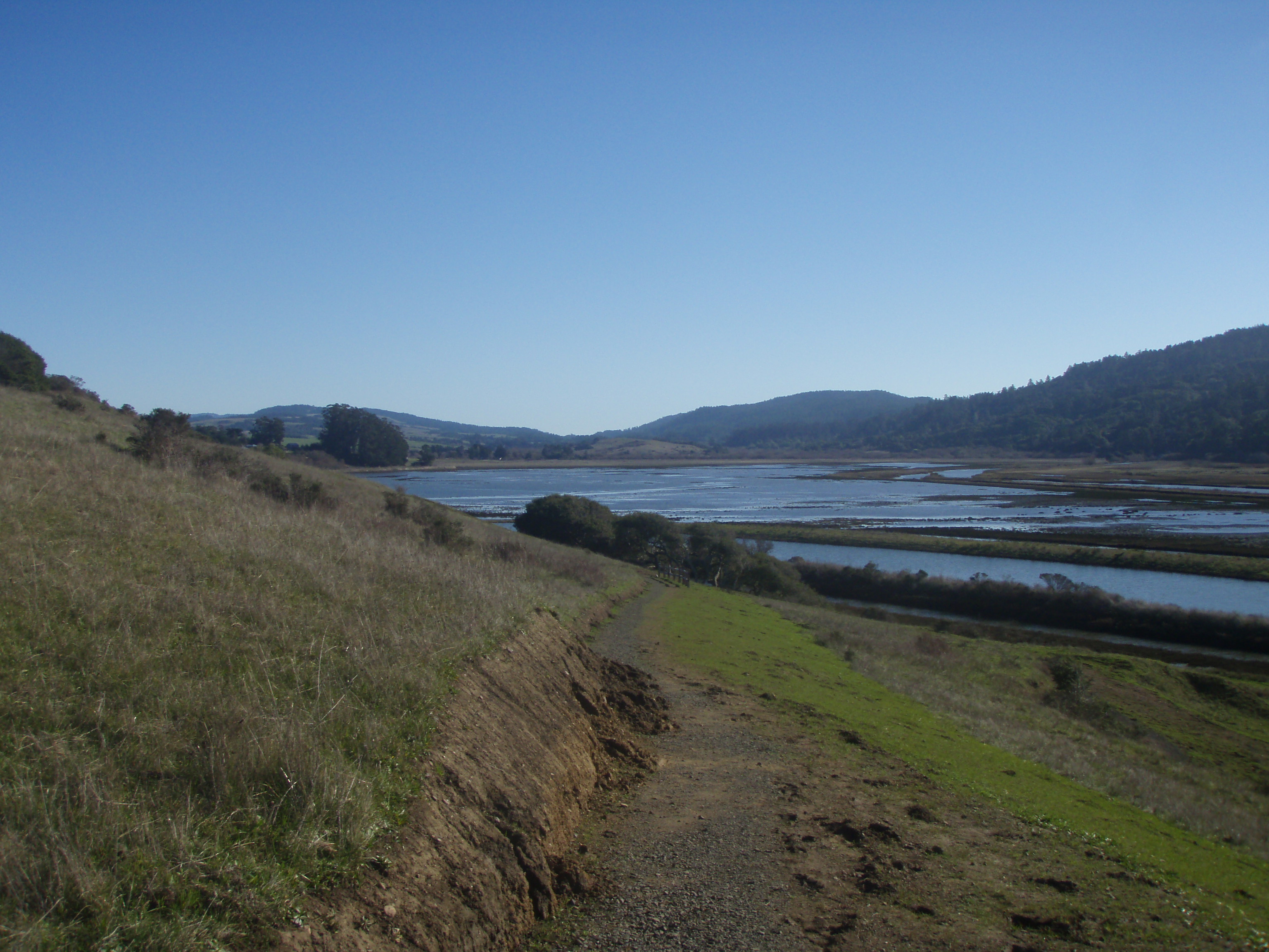 Hike 7Tomales Bay 100 Hikes