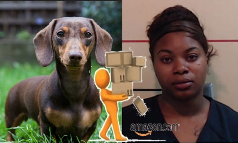AMAZON DELIVERY DRIVER Steals Dog From TX Home…Tries To Sell On Online *