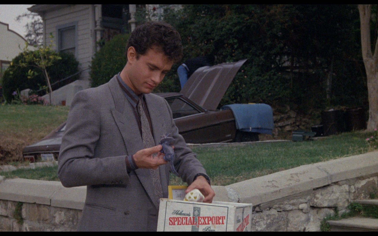 Nothing In Common 1986 恋のじゃま者 100tomhanks Com