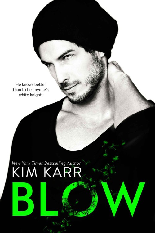 Read Blow by Karr, Kim online free full book. China Edition