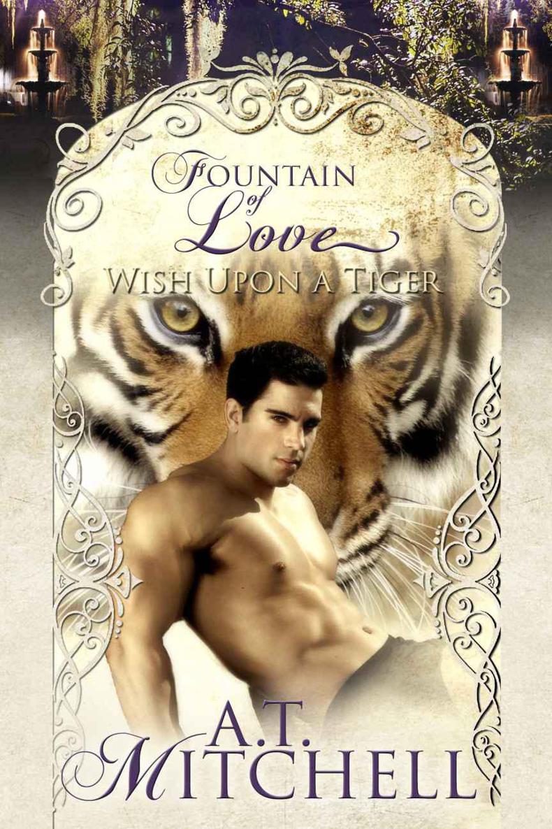 Read Wish Upon a Tiger A BBW Weretiger Shifter Romance (Fountain of