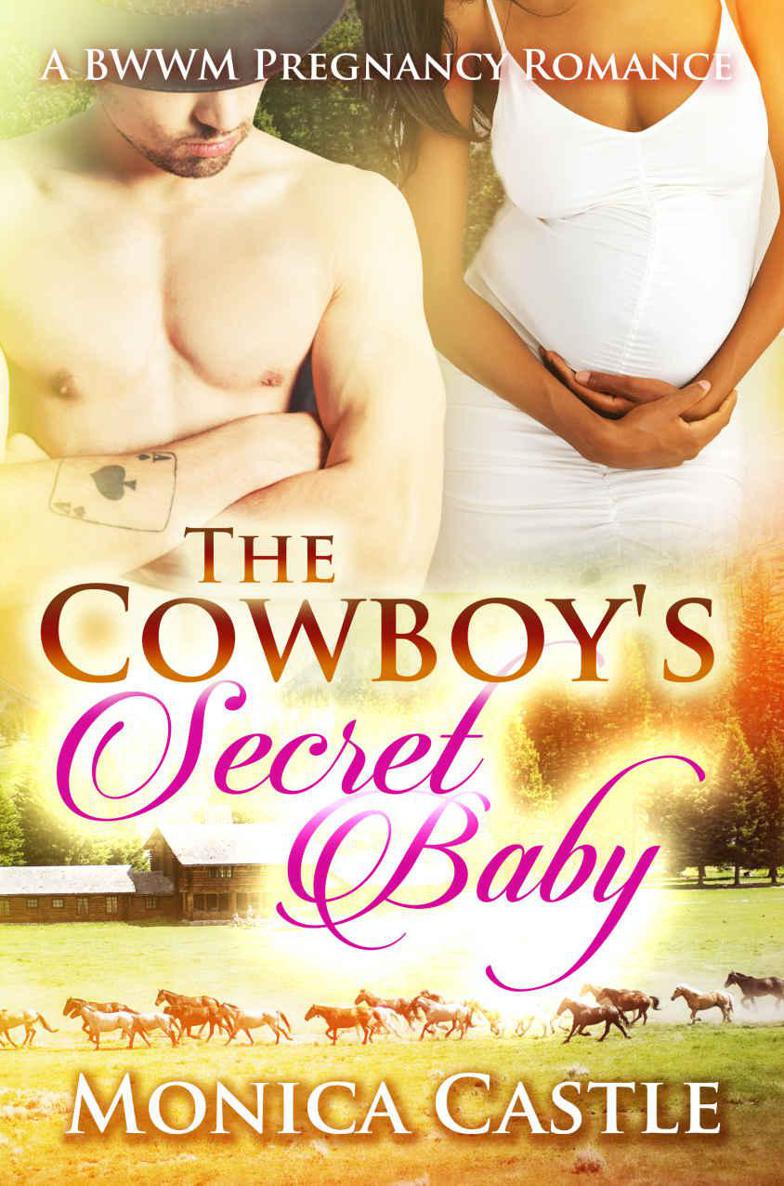 Read The Cowboy's Secret Baby A BWWM Pregnancy Romance by