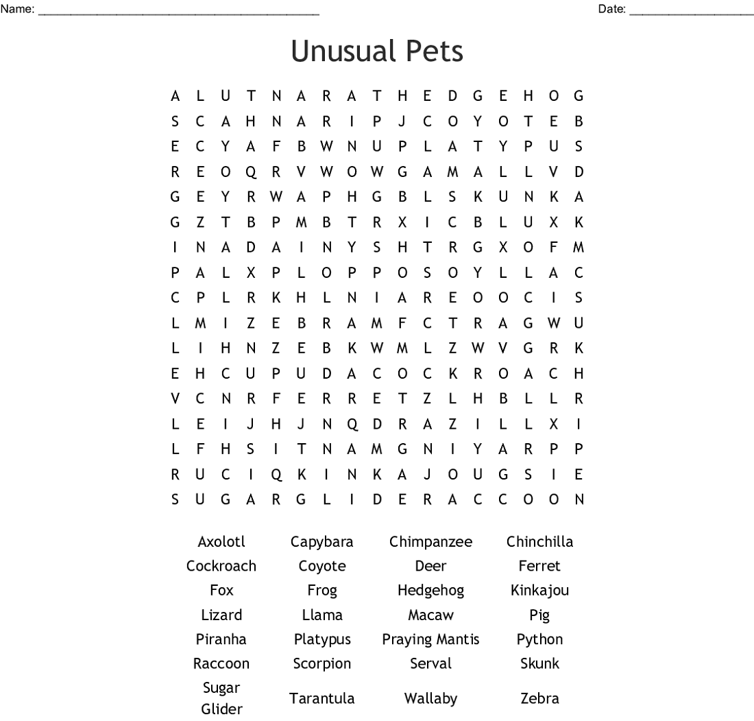 Fun Pet Word Search for Kids 101 Activity