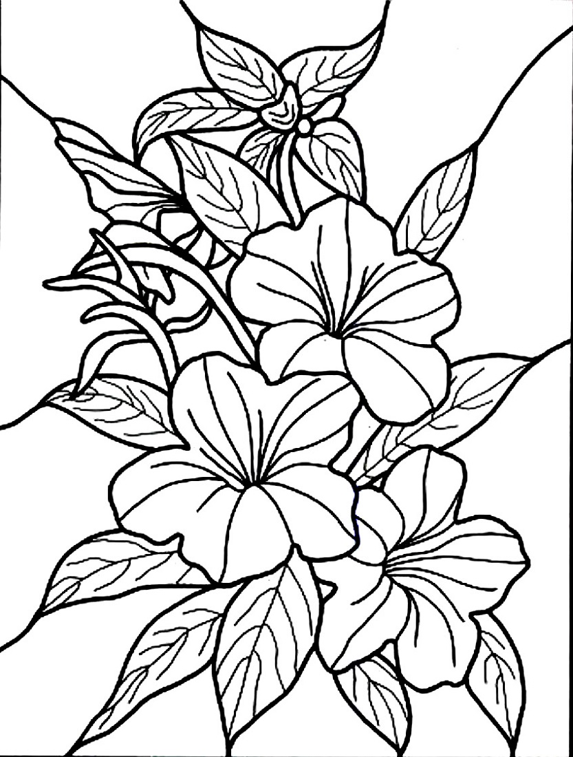 Coloring Pages Flowers Free Printable