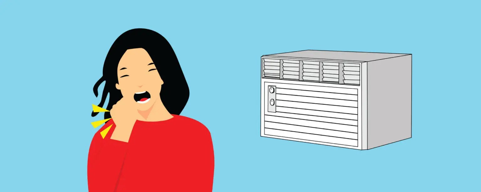 Can An Aircon Cause Allergic Rhinitis? 101appliance