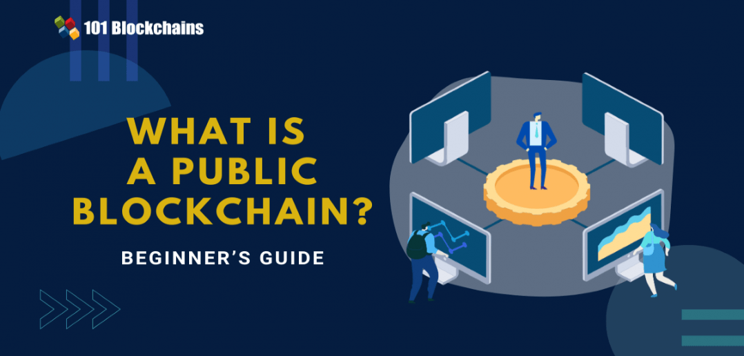 What is a Public Blockchain? Beginner’s Guide 101
