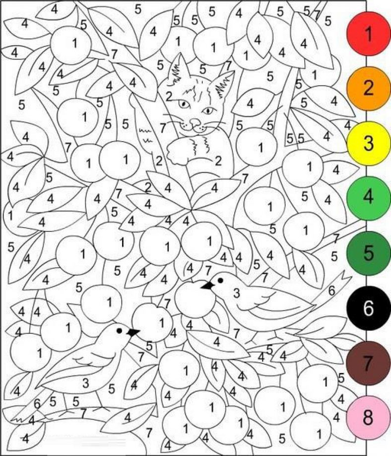 Advanced Color by Number for Adults Pages 101 Coloring
