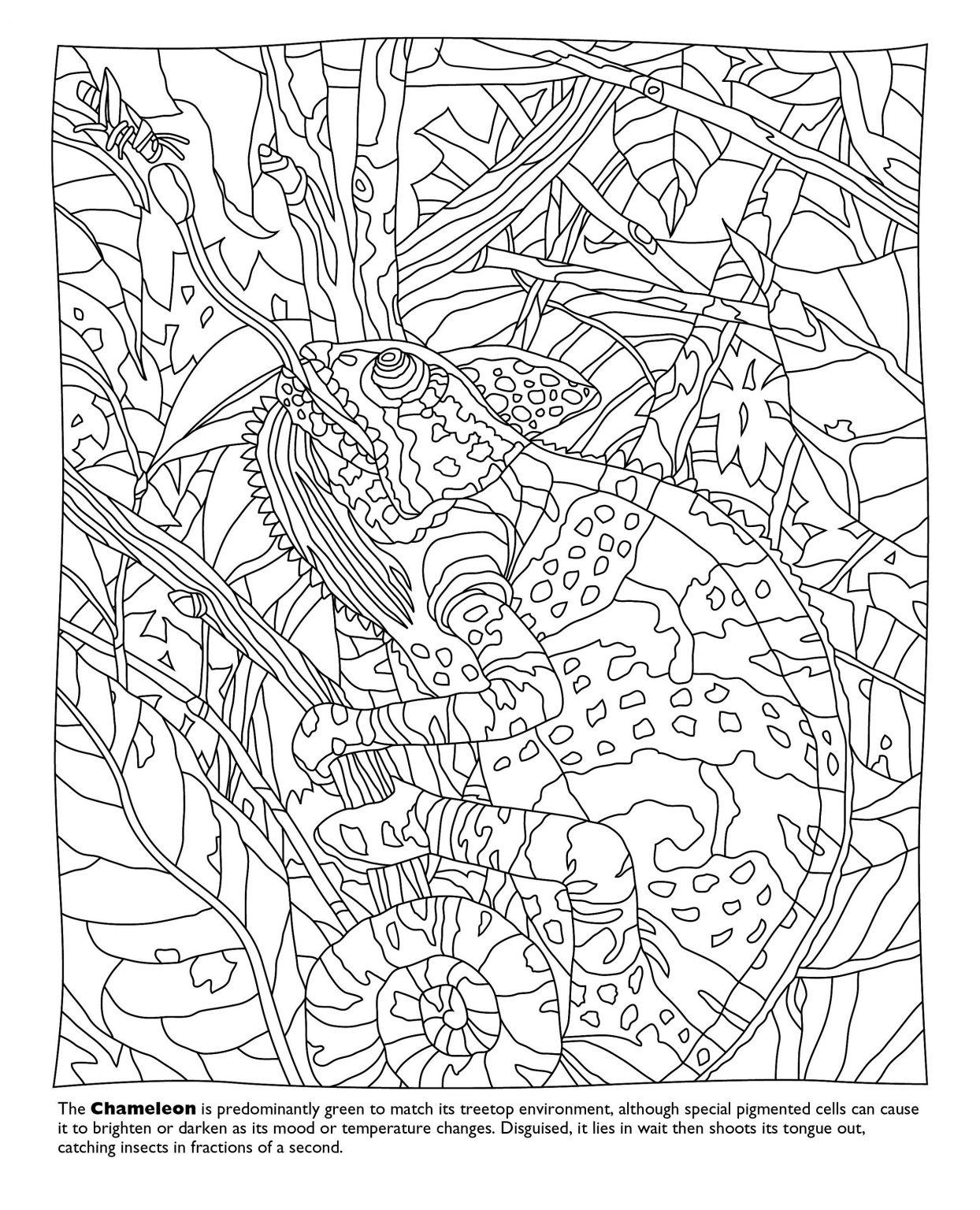 Color By Number Free Coloring Pages