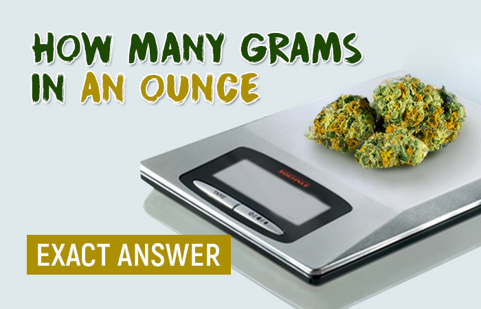 10 Ounces To Grams How Many Grams in an Ounce of Weed / Today, the