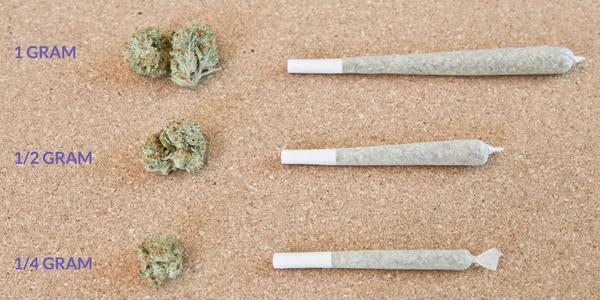 How Many Grams Are In An Ounce Of Weed? (Ultimate Guide)