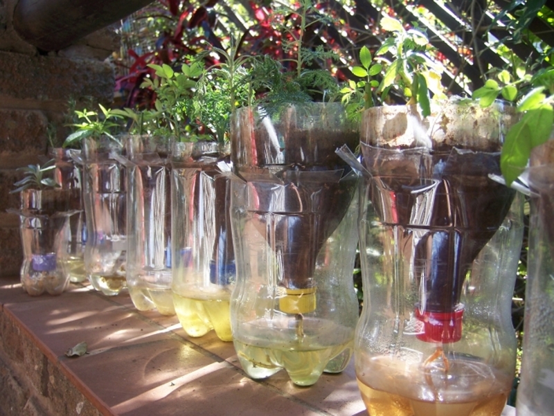 How to Make a SubIrrigated Planter (SIP) from a 2Liter Bottle 101